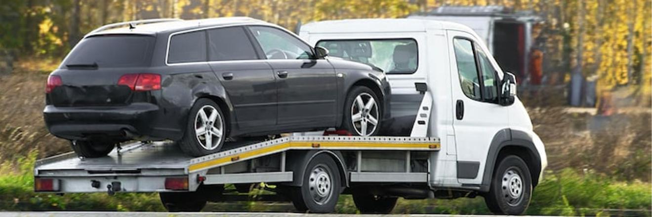 Cover image for japanesecarremoval