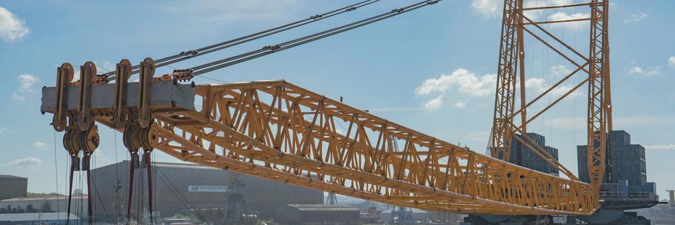 Cover image for radhacranes