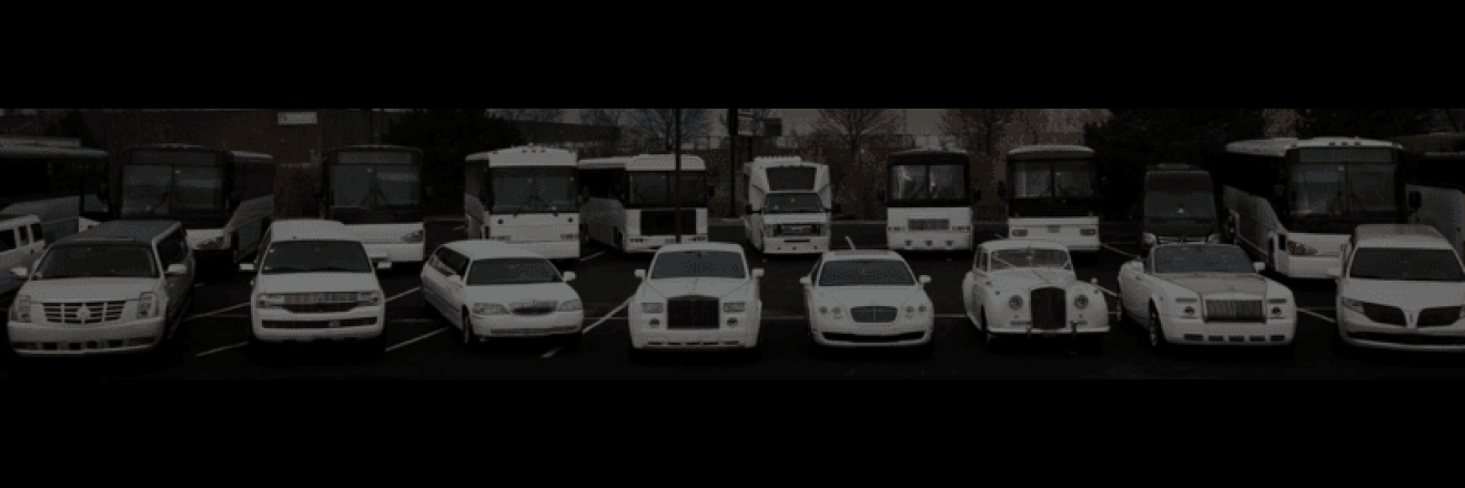 Cover image for kitchenerlimousine