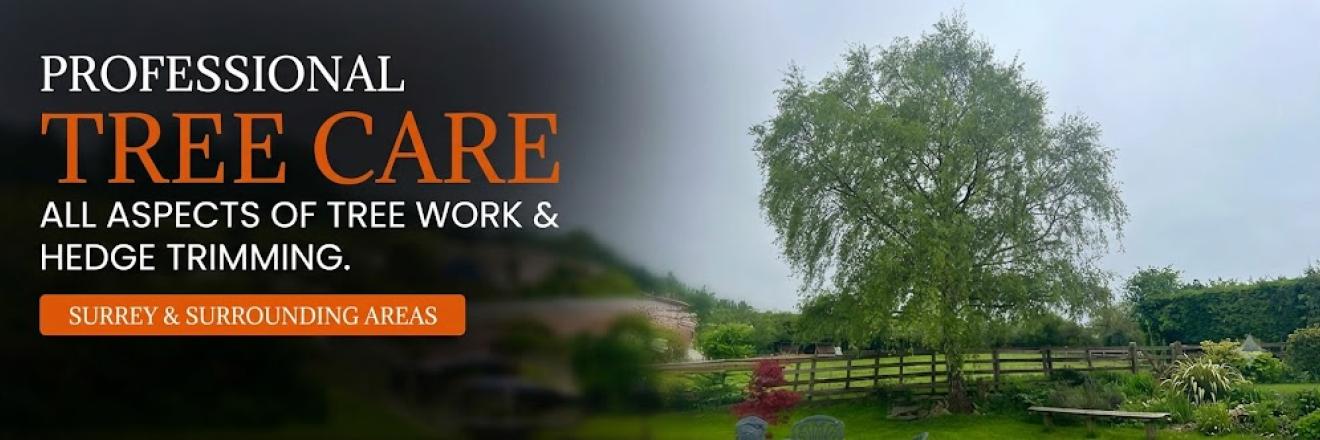 Cover image for nghtreecare