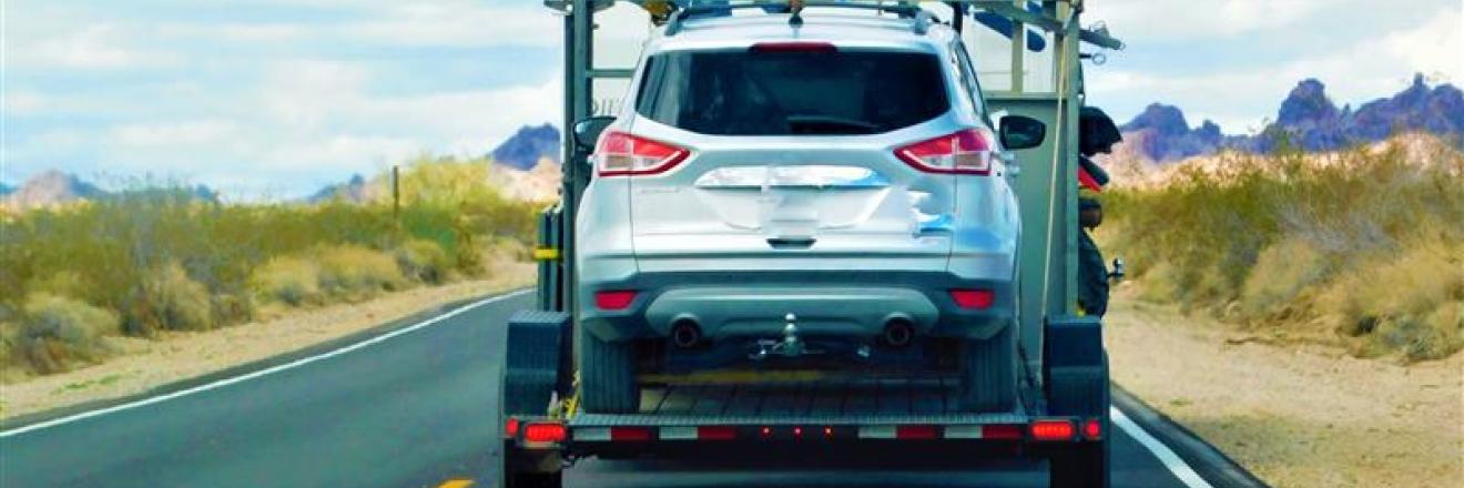 Cover image for zeetowing