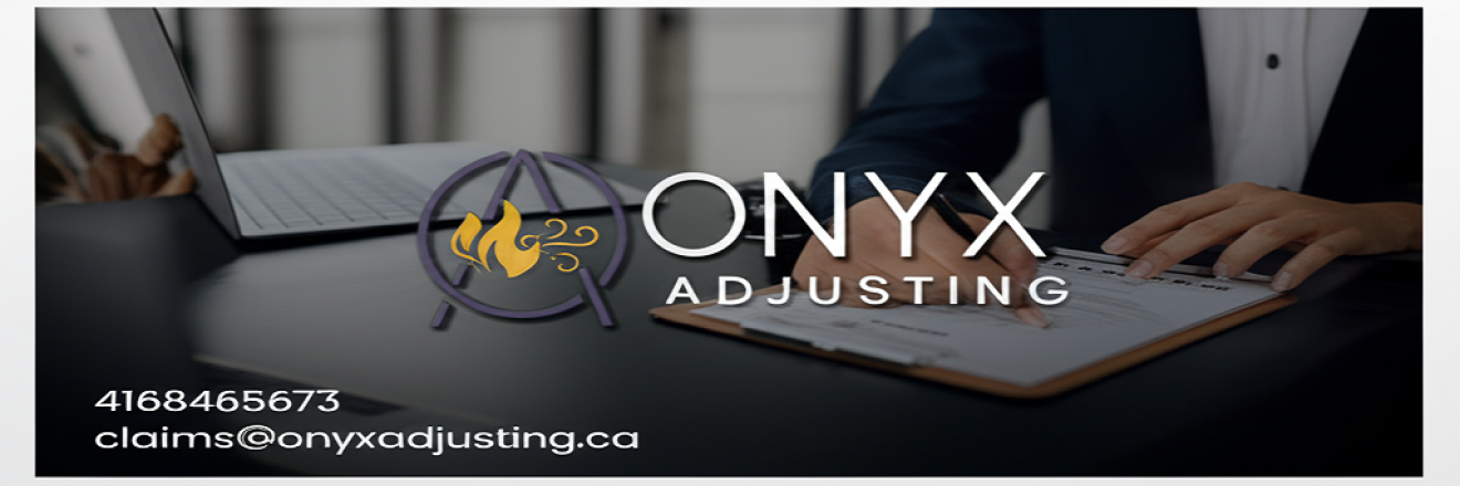 Cover image for onyxadjusting