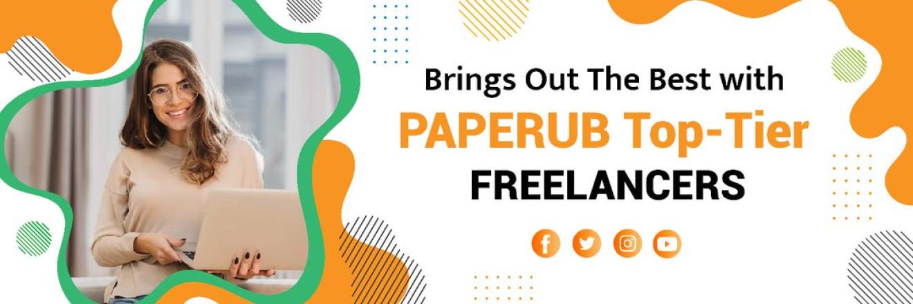 Cover image for Paperub