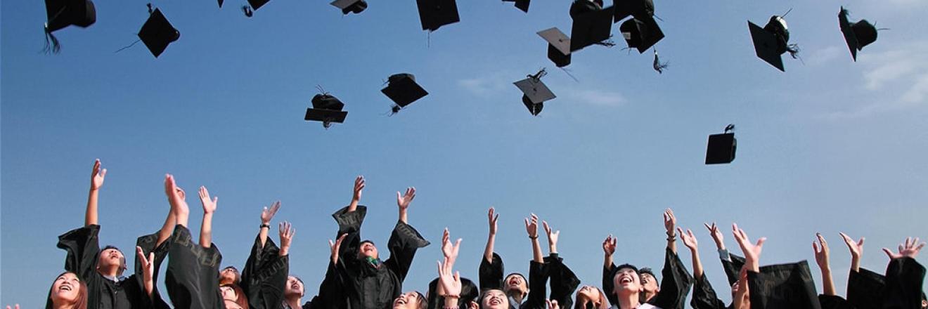 Cover image for crestimmigration