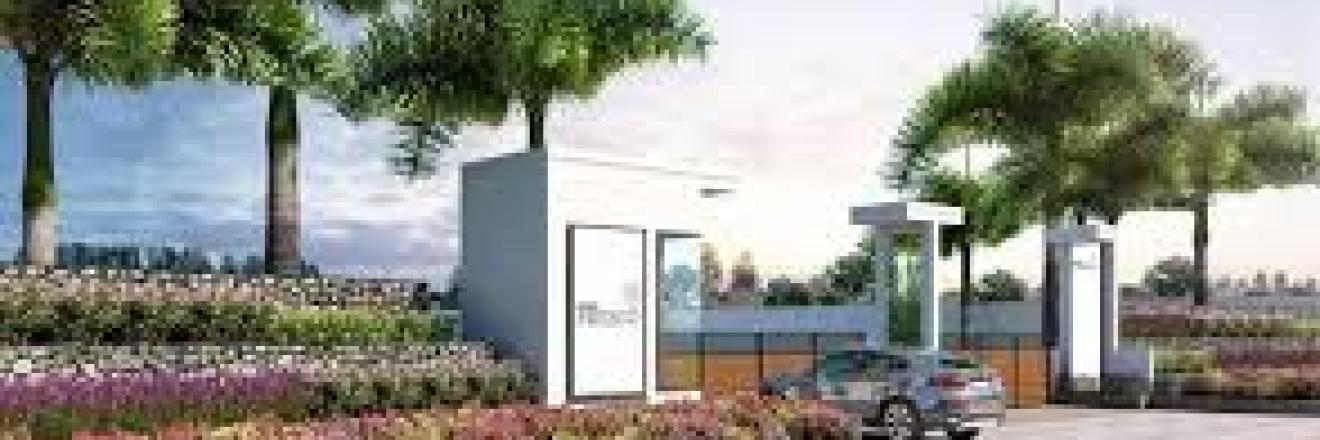 Cover image for knssamoooha