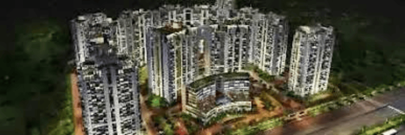 Cover image for sattvacity