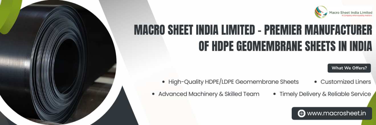 Cover image for macrosheet