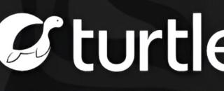 Cover image for 10turtle