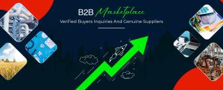Cover image for b2btrademart
