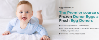 Cover image for Eggdonors4all