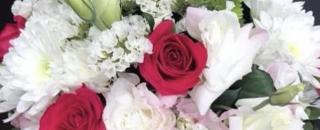 Cover image for livingflowers
