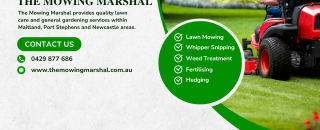 Cover image for themowingmarshal