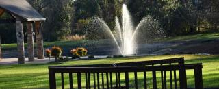 Cover image for friendlyfountains