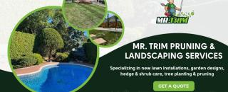 Cover image for mrtrimpruning