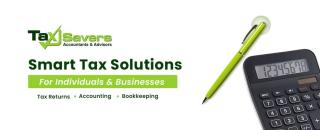 Cover image for taxsavers1
