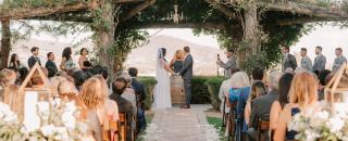 Cover image for American Portra-Weddings and Events