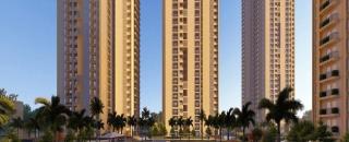 Cover image for aurosapphireflats