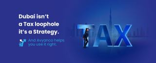 Cover image for avaudit