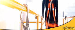 Cover image for kangarootraining