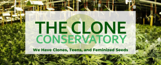 Cover image for cloneconservatory
