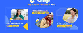 Cover image for collegewollege