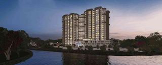 Cover image for purvanorthernlightflats