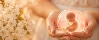 Cover image for indianeggdonors