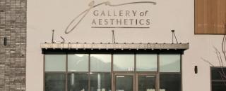 Cover image for galleryofaesthetics