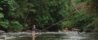 Cover image for richardtaylor