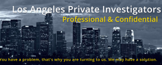 Cover image for kinseyinvestigations