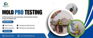 Cover image for leakdetection