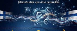 Cover image for paypaltukinumero