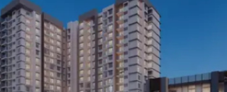 Cover image for purvanorthernlights1