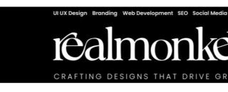 Cover image for realmonkey