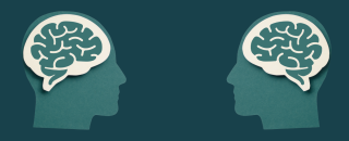 Cover image for wondertree