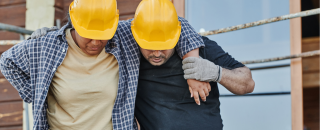 Cover image for woodcarlton