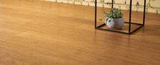 Cover image for bothbest