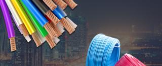 Cover image for paraflexwires