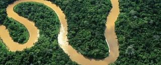 Cover image for elinaldoBrasillis