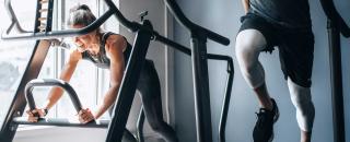 Cover image for feroz