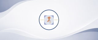 Cover image for Warwick Hip Clinic