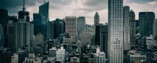 Cover image for prestigemarigold1