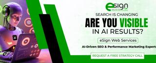 Cover image for eSignWebServices