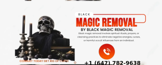 Cover image for psychicravi
