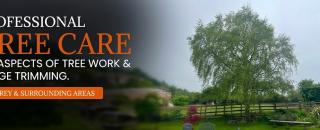 Cover image for nghtreecare