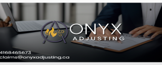 Cover image for onyxadjusting