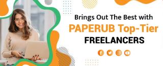 Cover image for Paperub