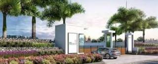 Cover image for knssamoooha