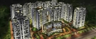 Cover image for sattvacity