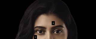 Cover image for Skinwood